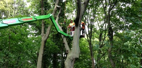 Hubsteiger im Einsatz Hubsteiger im Einsatz